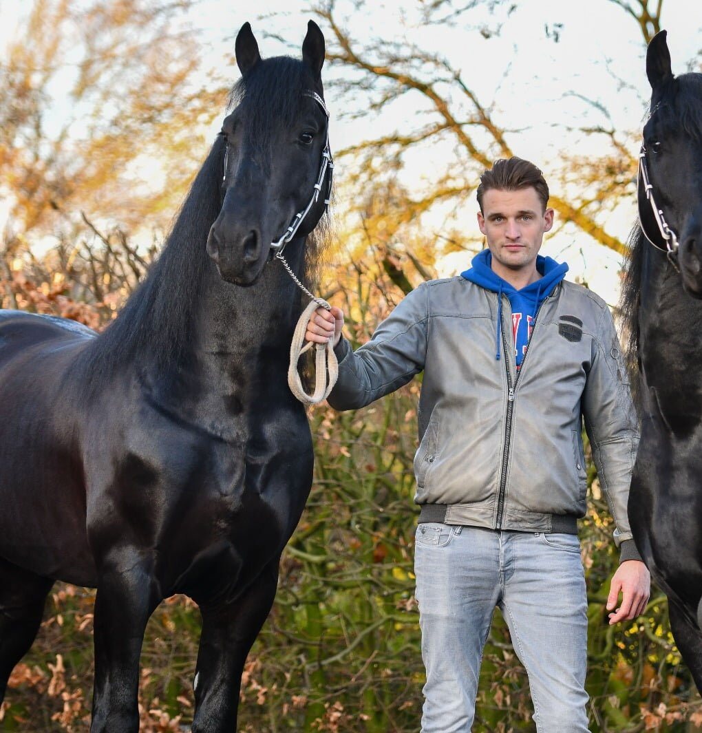Stoeterij Friese Visser met Friese paarden